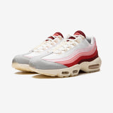 Nike Air Max 95 Anatomy of Air
