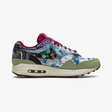 Nike Air Max 1 SP Concepts Mellow