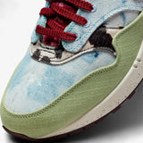 Nike Air Max 1 SP Concepts Mellow