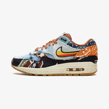 Nike Air Max 1 SP Concepts Heavy