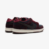 Nike SB Dunk Low Riot Skate