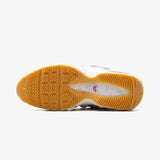 Nike Air Max 95 SB Cactus Flower