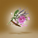 Xerjoff Alexandria II Eau de Parfum