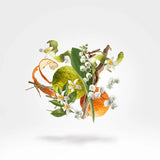 Xerjoff Renaissance Eau de Parfum